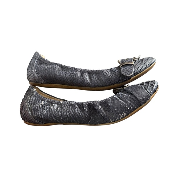 Pre-owned Blue Snakeskin Christian Dior Ballet flats 41 - Picture 6 of 9